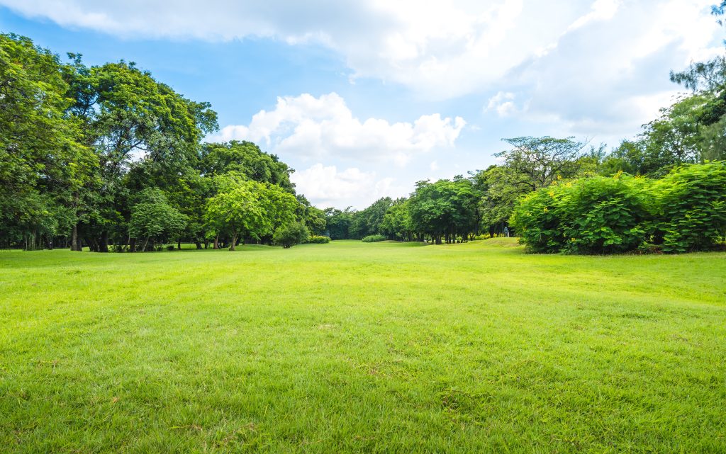 Take the Chevy and Discover These 5 Outdoor Activities Near Athens, TX