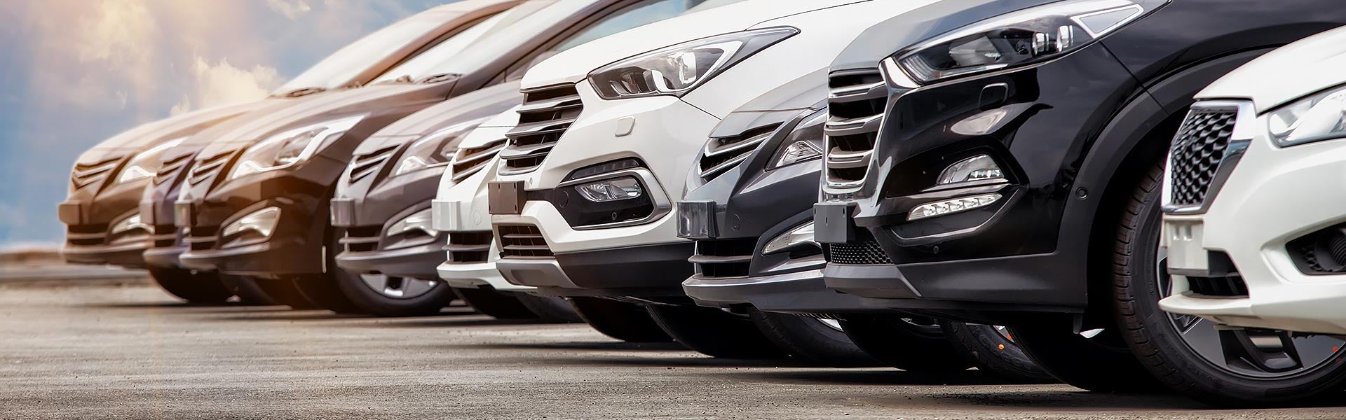Multiple vehicles lined up at a dealership lot.